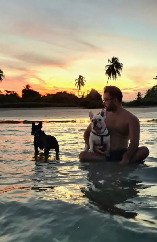 Adriano pôr do sol e pets em alta resolução